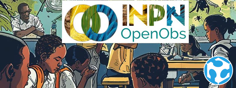 OpenOBS : le portail de consultation des données de l'INPN